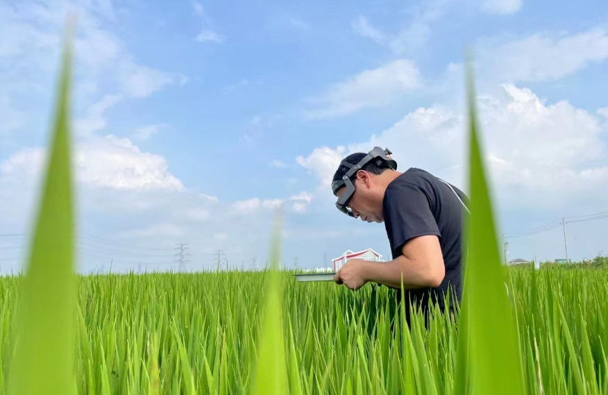 農業AR眼鏡為智慧植保鍛造“火眼金睛” 農業AR眼鏡為智慧植保鍛造“火眼金睛”