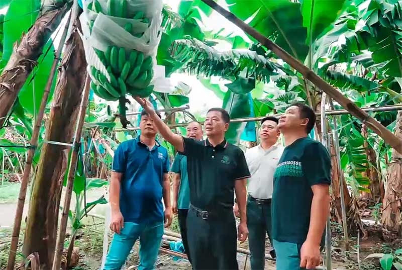 菌肥時代來了！治理土壤“疑難雜癥”引領(lǐng)綠色農(nóng)業(yè)新風尚